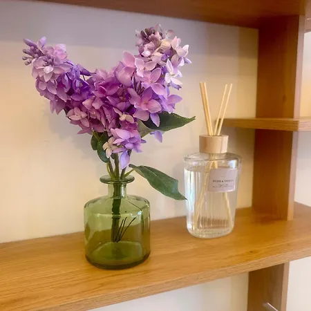 Apartment Manor And Free Parking